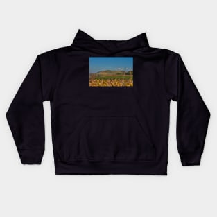 View of the Kaiserstuhl near Burg Sponeck Kids Hoodie